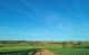 thum-8387113_wjrUW71ndt_1644567992.jpg