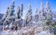thum-m_2xsISdETDi_1644555287.jpg