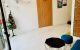 thum-m_JxiZnWQHmf_1644545061.jpg