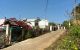 thum-8388303_G3zIqWp6do_1644639389.jpg