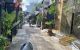 thum-8388330_FClcIxXQMq_1644640784.jpg