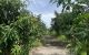thum-8390663_TSRWgkVIQ2_1644808631.jpg