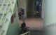 thum-8390948_jTsuBAKehF_1644824762.jpg