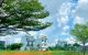 thum-m_CNQSFV1Az6_1644912204.jpg