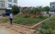 thum-m_tMrkz2jKJs_1644914323.jpg