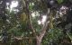thum-8395347_FVpH2LUu58_1645081485.jpg