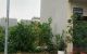 thum-8396057_pqWkzexQmZ_1645112135.jpg