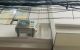 thum-m_BOnJZSoa3Q_1645057507.jpg