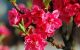 thum-m_Ls9IZDhAo4_1645150786.jpg