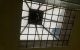 thum-8401156_HNuZYpdgxJ_1645380767.jpg
