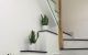thum-8401741_NcAosTJmBi_1645414972.jpeg