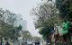 thum-8403297_bcDQx0d983_1645503057.jpeg