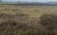 thum-8403316_0MFymaip3S_1645504631.jpg