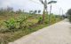 thum-8403561_kXir8ejMtH_1645514875.jpg