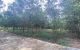 thum-8403689_VAPitnd7fh_1645518877.jpg
