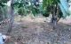 thum-8405072_UFzaiEbwDh_1645585264.jpg