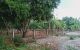 thum-8405072_io56LKns3p_1645585283.jpg