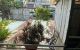 thum-8405460_vFY3HOBqW9_1645600350.jpg