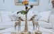 thum-m_zPTiWRjwHh_1645576746.jpg