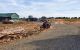 thum-8406728_InONDte7vP_1645670388.jpg