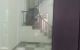 thum-8406787_FiZejghcy4_1645673248.jpg