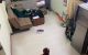 thum-8407331_E2FYb4swjn_1645691854.jpg