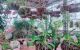 thum-m_AqX7KaCvHE_1645697585.jpg