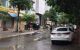 thum-m_wUeJxTI52V_1645665355.jpg