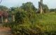 thum-m_wZByD2gOVx_1645669501.jpg
