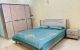 thum-8409433_eLOQAr3nfS_1645792296.jpg