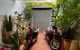 thum-8409577_3RtmhVbBXT_1645799895.jpeg