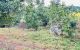 thum-8410352_Qua6OGoJpP_1645846100.jpg