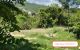 thum-8410497_olGpf7d3Mc_1645851441.jpg