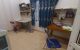 thum-8410543_nrU8PRF5xp_1645853996.jpg