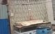 thum-8410548_WS47CUZs6j_1645854518.jpg