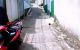 thum-8410644_rch3TPspWI_1645858988.jpg