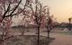 thum-8411154_rKvPLo4Wnt_1645881494.jpg