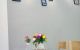 thum-8411224_pzUsqyPlgh_1645886399.png