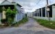 thum-8412035_ow6bZaW82x_1645932643.jpg
