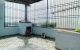 thum-8412404_uqZyOTRsg3_1645943404.jpeg
