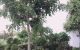 thum-8413939_3EBcn9CMvW_1646029118.jpg