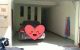 thum-m_9pUOby0JTH_1646024971.jpg