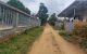 thum-8414981_FK6JarMyEG_1646096423.jpg
