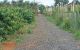 thum-8415556_ZXaIpMcYtN_1646117086.jpg