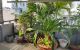 thum-8416318_ce63sq8nxw_1646147573.jpg
