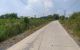 thum-m_oWGMgwcSh6_1646120150.jpg
