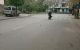 thum-8416731_1Ws5AIeBCQ_1646184769.jpg