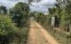 thum-8416755_ZE7oBUie1c_1646185790.jpg