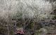 thum-8417096_XuRb7rdlev_1646196110.jpg
