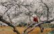 thum-8417096_mZDWwqjP62_1646196106.jpg